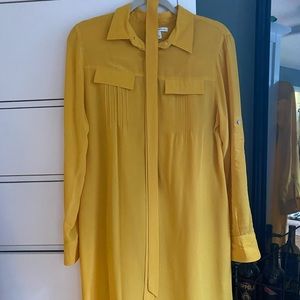 Silk Shirt Dress (w/ slip liner)